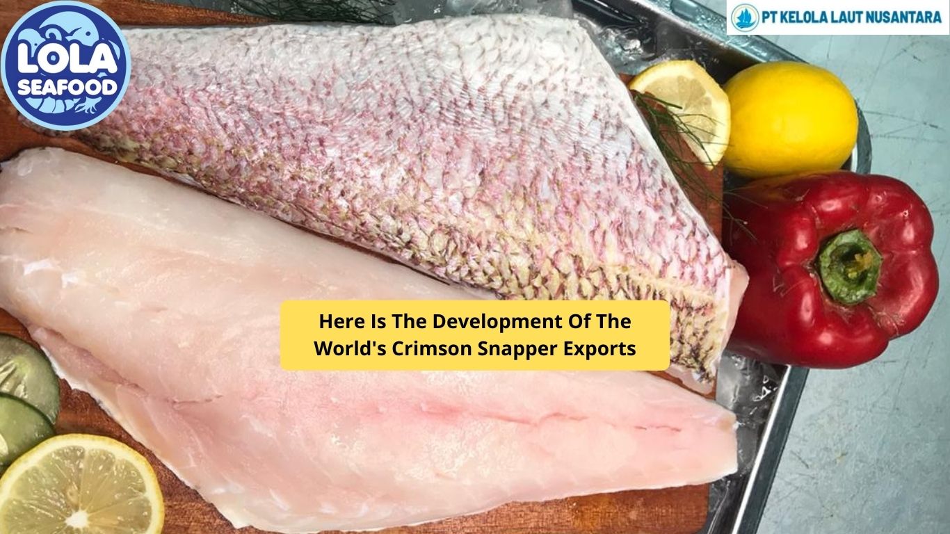 Here Is The Development Of The World's Crimson Snapper Exports